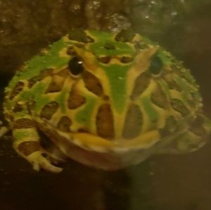 Meet your Posher, Caitlyn